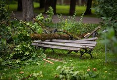 Audros padariniai Sapiegų parke ir Antakalnio kapinėse