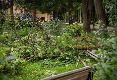 Audros padariniai Sapiegų parke ir Antakalnio kapinėse