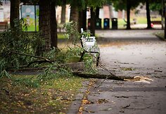 Audros padariniai Sapiegų parke ir Antakalnio kapinėse
