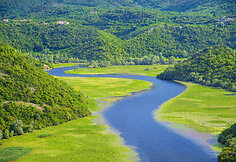 Albanija