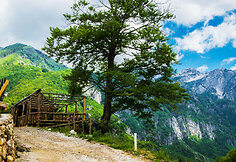 Albanija