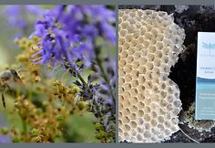 &bdquo;Odorata&ldquo; natūrali rankų darbo kosmetika