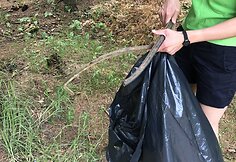 &Scaron;iuk&scaron;lių rinkimo akcija &bdquo;&Scaron;vari vasara&ldquo;