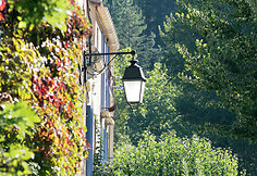 Haut-Languedoc regioninis gamtos parkas Pietų Prancūzijoje