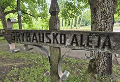 Vaistinių augalų skyrių kūrusio prof. Kazimiero Grybausko alėja