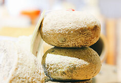 Pecorino sūris