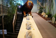 Zoologijos sodui Vilniuje „Zoopark“ – vieneri metai