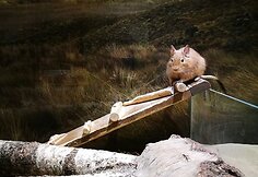 Zoologijos sodui Vilniuje „Zoopark“ – vieneri metai
