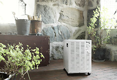 Woods 38FW modelis