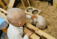 Žaidimų &scaron;alis &bdquo;Alisa&ldquo; &ndash; nauji savininkai, ta pati vizija
