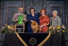 Janita J. Plungė: metų JAV veisėjos titulas – tik pradžia!