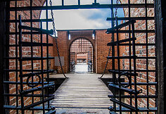 Trakų pilis