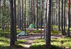 Suomijos nacionalinių parkų gamta