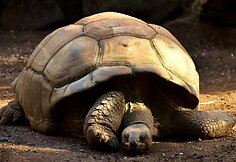 Kelionės po Kolumbiją, Ekvadorą, Galapagų salas akimirkos