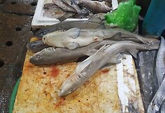 Kambodža &ndash; &scaron;alis, kurioje gyventi paprasta. Marius Duoplys sako čia radęs kitokį gyvenimą &ndash; ramų ir be rūpesčių