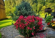 Konkursas &bdquo;Mano kiemas&ldquo;. Manto ir Ingridos &Scaron;altmerių sodyba Pakruojo rajone