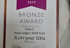 Tortų dizainerė i&scaron; Vilniaus Kotryna Uba ir jos gaminti tortai 