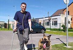 Giedriaus augintinė belgų aviganė &Scaron;aita