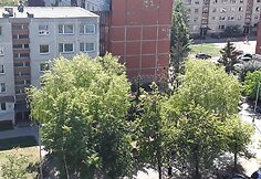 Įvykio vietoje