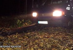 Vagių autobusiukas