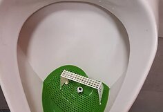 Vitalijaus Cololo atostogos su šeima