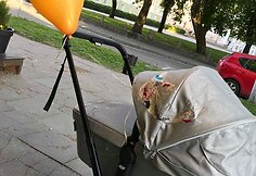 Danieliaus Bunkaus ir Viktorijos Siegel pirmagimė Nicole