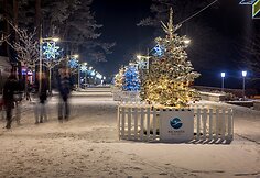 Palanga pasipuo&scaron;ė Kalėdoms