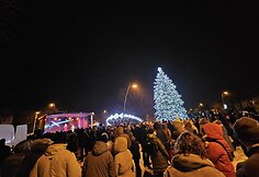 &Scaron;akių Kalėdų eglė