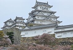 Džiugo Siaurusaičio ir Linos Rastokaitės kelionė po Japoniją