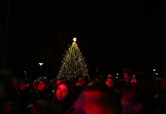 Pagrindinės Alytaus rajono eglės Dauguose įžiebimas