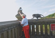 „Močiučių Bali(u)s“