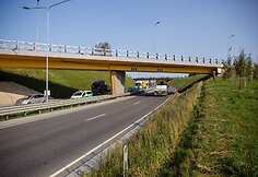Vilniaus aplinkelyje pasiklydęs briedis buvo sulaikytas