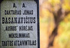 Signatarų kapavietės Visų Šventųjų dieną
