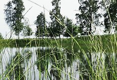 Lauros Balčiūtės sodyba