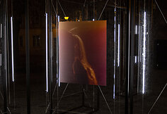 &bdquo;Lewben Art Foundation&ldquo; paroda &bdquo;Homo Absentia&ldquo; Vilniaus skveruose