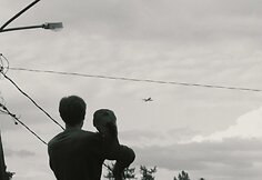 Kadras iš filmo „Lizdas“