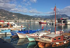 Alanijos uostas