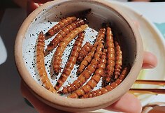„Kytays'kyy pryvit“ restoranas