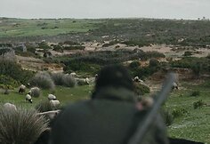 Kadras i&scaron; filmo &bdquo;Brolystė&ldquo;