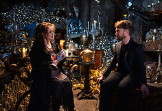 &bdquo;Hario Poterio&ldquo; specialios transliacijos akimirka