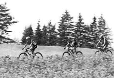 &bdquo;Jeep MTB dviračių maratonų taurės&ldquo; dalyvių laukia karali&scaron;kuoju vadinamas etapas