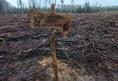 Tekstilės paslaugų įmonės „Lindström“ darbuotojų lojalumo rodikliai muša rekordus