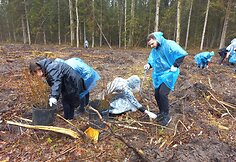 Tekstilės paslaugų įmonės „Lindström“ darbuotojų lojalumo rodikliai muša rekordus