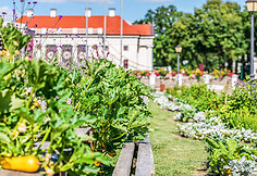 Vaizdai atima žadą: didžiausias gėlių festivalis Baltijos &scaron;alyse pasiekė žydėjimo piką 