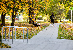 Rinktinės g.