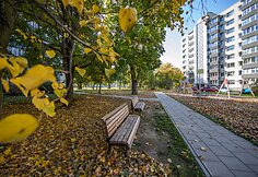 Kaimynijų programa įsibėgėja. Per pusmetį – 8 nauji projektai