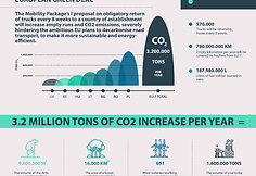 Infographic 3