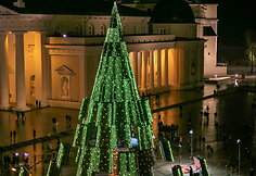 Vilnius' Christmas tree 2020
