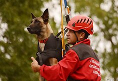 Bulgarian Red Cross photo