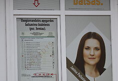 LSDDP politinė reklama &Scaron;irvintose